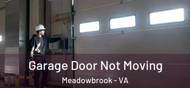  Garage Door Not Moving Meadowbrook - VA
