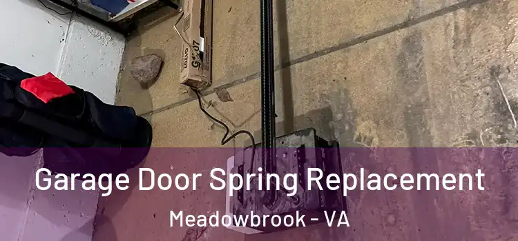  Garage Door Spring Replacement Meadowbrook - VA