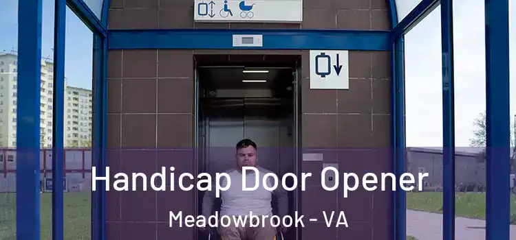  Handicap Door Opener Meadowbrook - VA
