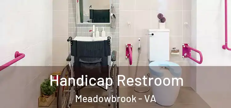 Handicap Restroom Meadowbrook - VA