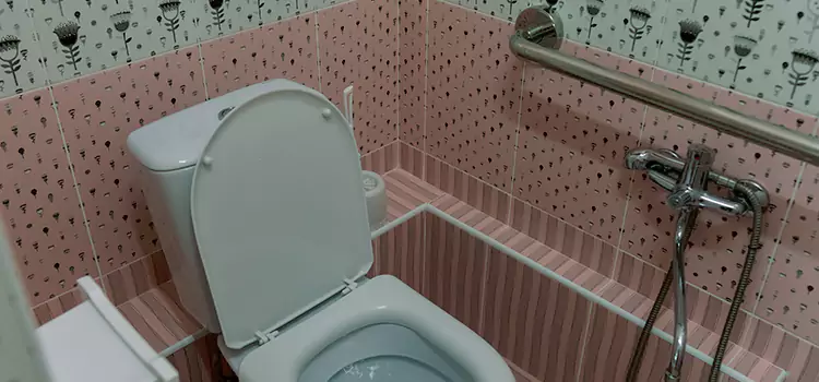 Meeting Diverse Needs With Accessible Restroom Solutions in Meadowbrook, VA