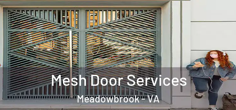 Mesh Door Services Meadowbrook - VA